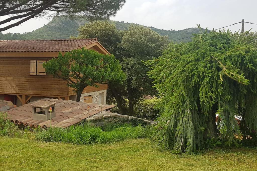 A L'Ombre Du Chene Gites Eden En Cevennes Anduze Exterior foto